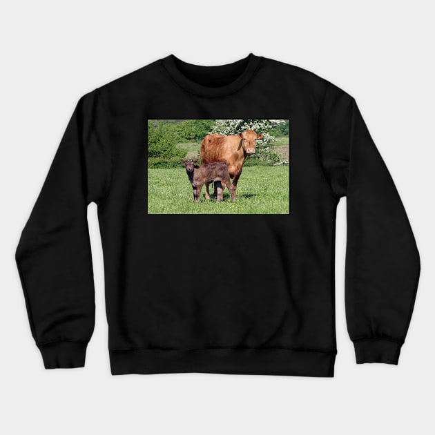 Ma, Why's He lookin' At Us? Crewneck Sweatshirt by AH64D